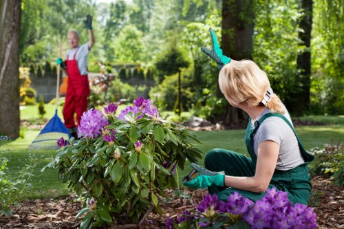 Choosing the right garden clearance service in Richmond