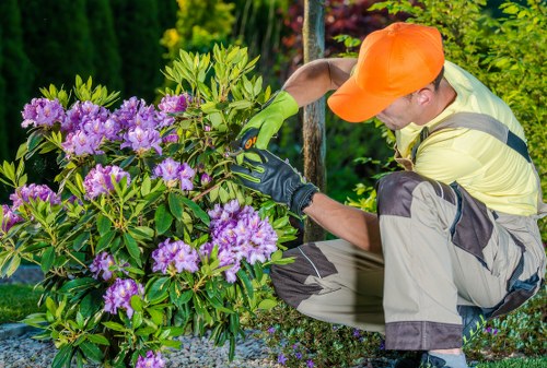 Illustration of a gardener in Richmond with accessible tools and signage indicating inclusive services