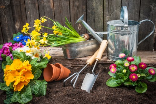 Steps involved in garden clearance process