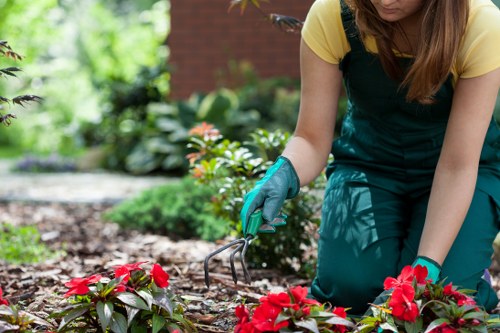 Man and van removing garden waste in Richmond