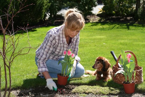 Types of garden clearance services available