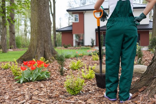 Benefits of hiring professional garden clearance