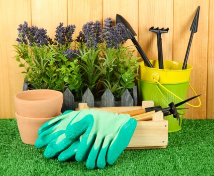 Lush lawn maintenance services in Richmond