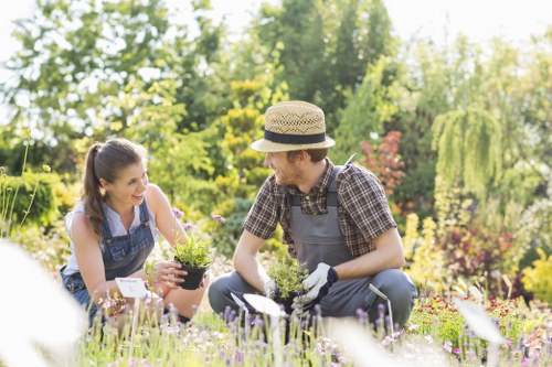 Maintaining a lush landscape garden in Richmond