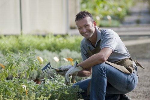 Healthy and well-shaped garden hedge